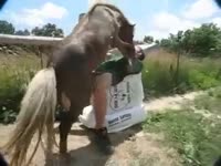Zoo XXX Movie - Guy endures horse fucking him in the ass during outdoor zoophilia